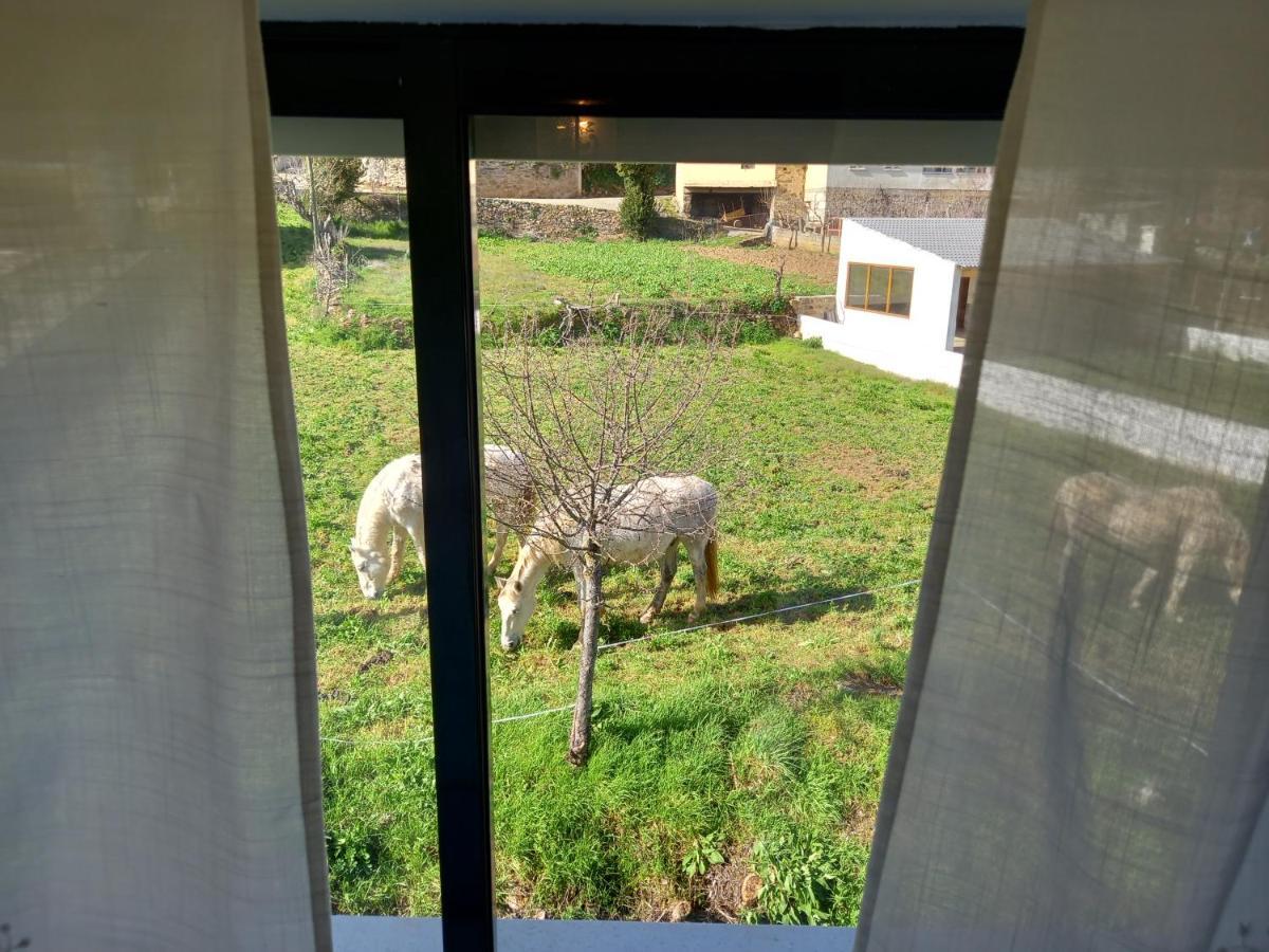Casa Da Ribeira Em Rabal Villa Ngoại thất bức ảnh